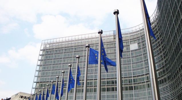 Powiększ obraz: Flagi Unii Europejskiej